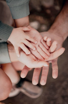 Семья и дети